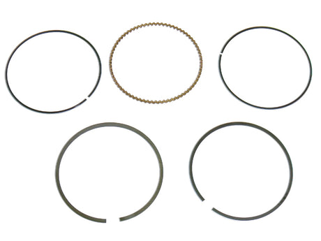 ec03-5e99beed833da.jpg
