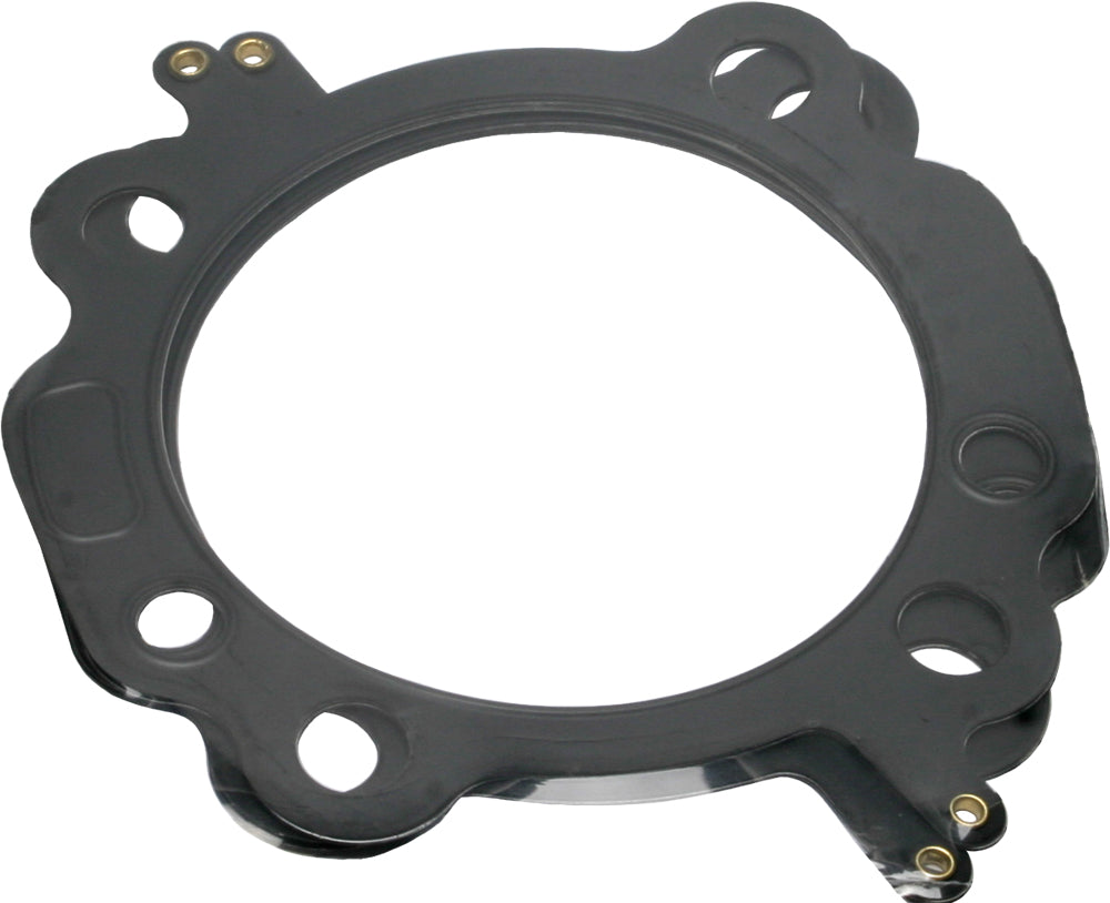 fd58-572a7fecec409.jpg