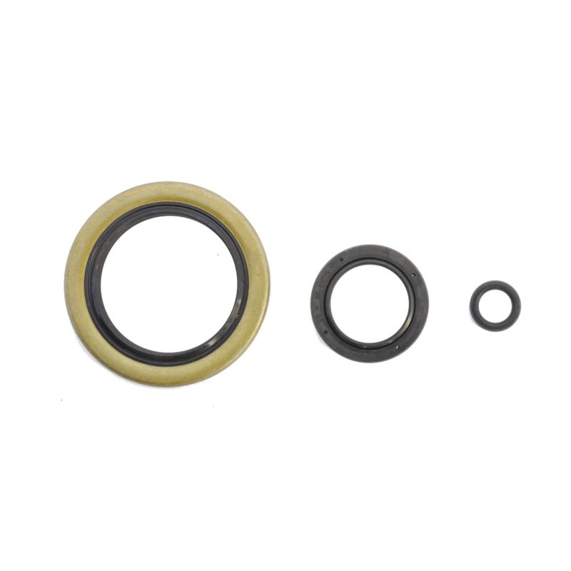 Athena Harley-Davidson Engine Oil Seal Kit P400195400899